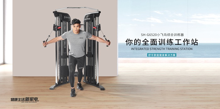 KS体育直播健身器材-小飞鸟综合训练器SH-G6520